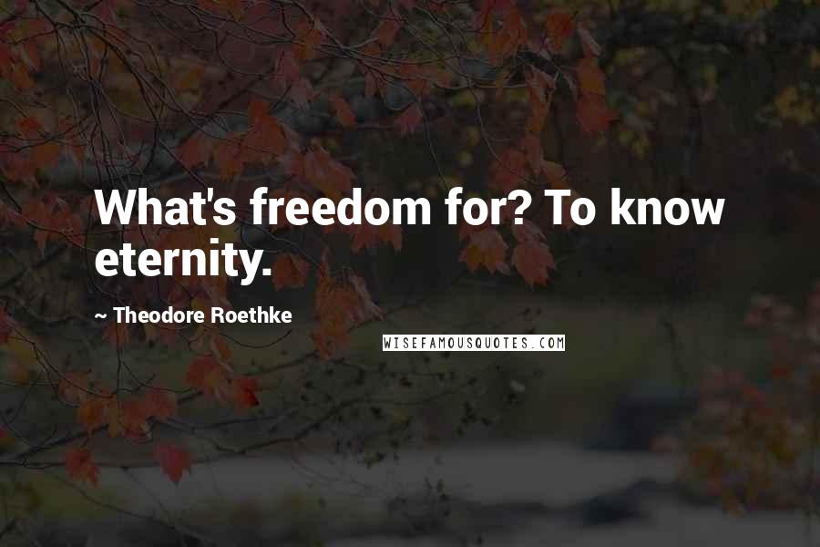 Theodore Roethke Quotes: What's freedom for? To know eternity.