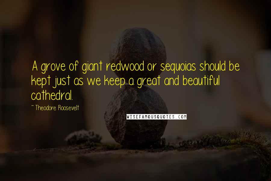 Theodore Roosevelt Quotes: A grove of giant redwood or sequoias should be kept just as we keep a great and beautiful cathedral.