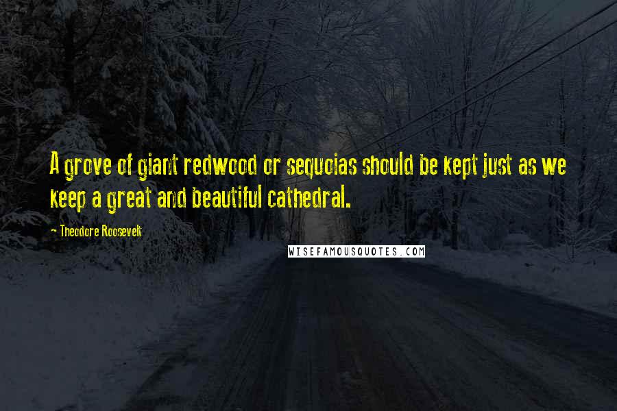 Theodore Roosevelt Quotes: A grove of giant redwood or sequoias should be kept just as we keep a great and beautiful cathedral.