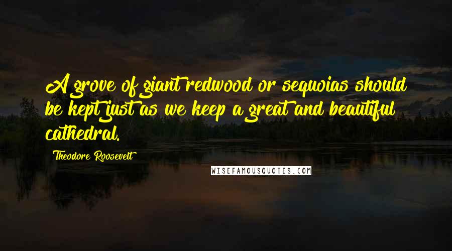 Theodore Roosevelt Quotes: A grove of giant redwood or sequoias should be kept just as we keep a great and beautiful cathedral.