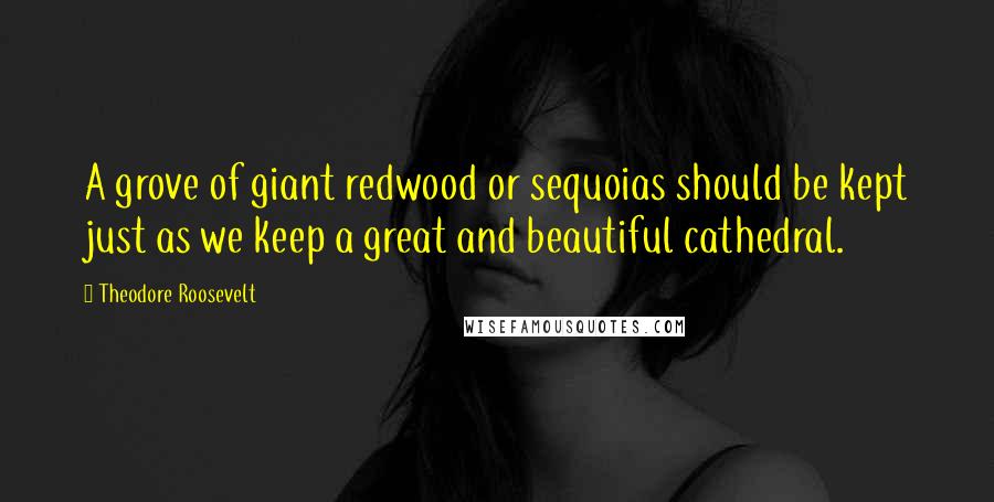 Theodore Roosevelt Quotes: A grove of giant redwood or sequoias should be kept just as we keep a great and beautiful cathedral.