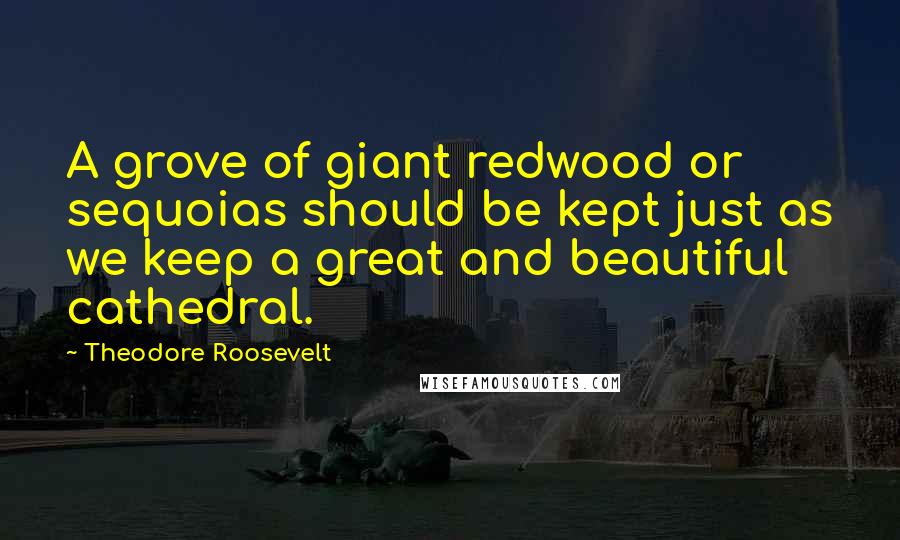 Theodore Roosevelt Quotes: A grove of giant redwood or sequoias should be kept just as we keep a great and beautiful cathedral.