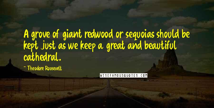 Theodore Roosevelt Quotes: A grove of giant redwood or sequoias should be kept just as we keep a great and beautiful cathedral.