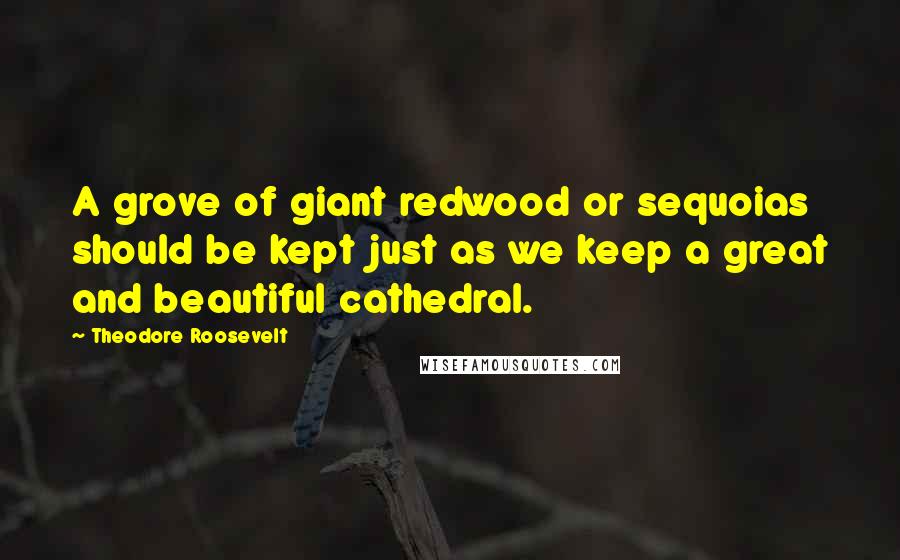 Theodore Roosevelt Quotes: A grove of giant redwood or sequoias should be kept just as we keep a great and beautiful cathedral.