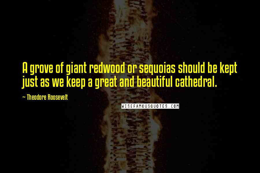 Theodore Roosevelt Quotes: A grove of giant redwood or sequoias should be kept just as we keep a great and beautiful cathedral.