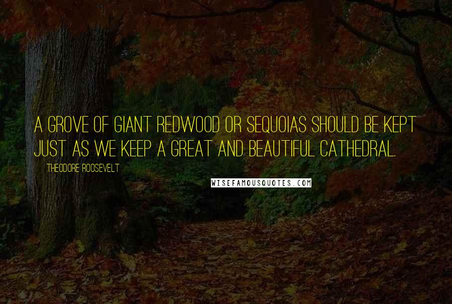 Theodore Roosevelt Quotes: A grove of giant redwood or sequoias should be kept just as we keep a great and beautiful cathedral.