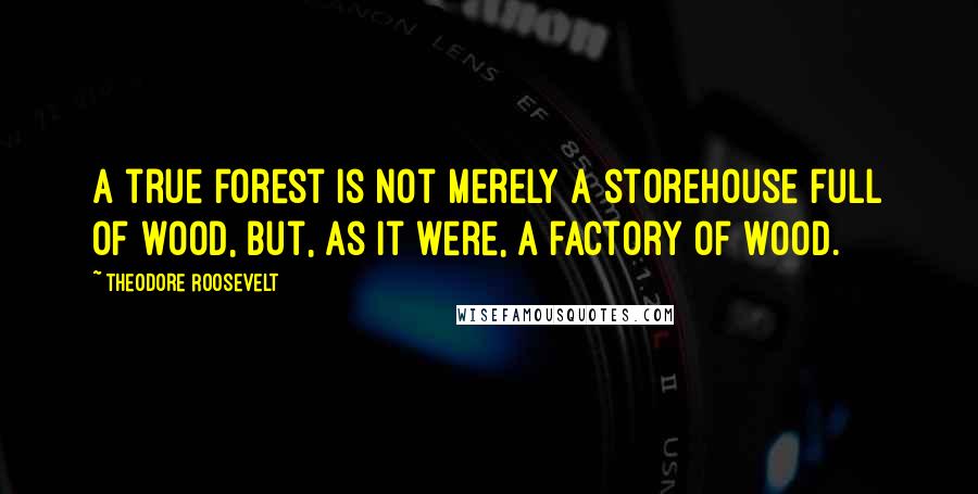 Theodore Roosevelt Quotes: A true forest is not merely a storehouse full of wood, but, as it were, a factory of wood.