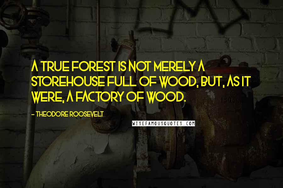 Theodore Roosevelt Quotes: A true forest is not merely a storehouse full of wood, but, as it were, a factory of wood.