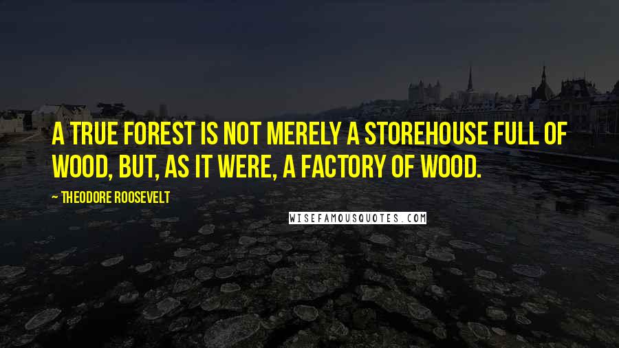 Theodore Roosevelt Quotes: A true forest is not merely a storehouse full of wood, but, as it were, a factory of wood.