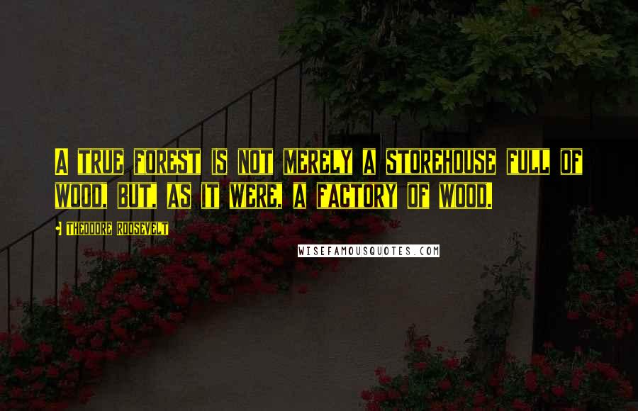 Theodore Roosevelt Quotes: A true forest is not merely a storehouse full of wood, but, as it were, a factory of wood.