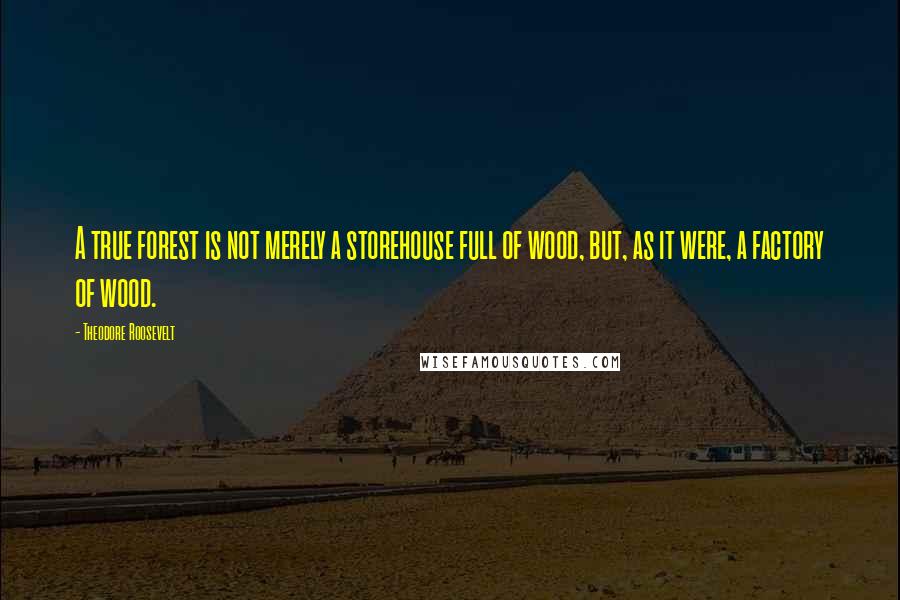 Theodore Roosevelt Quotes: A true forest is not merely a storehouse full of wood, but, as it were, a factory of wood.