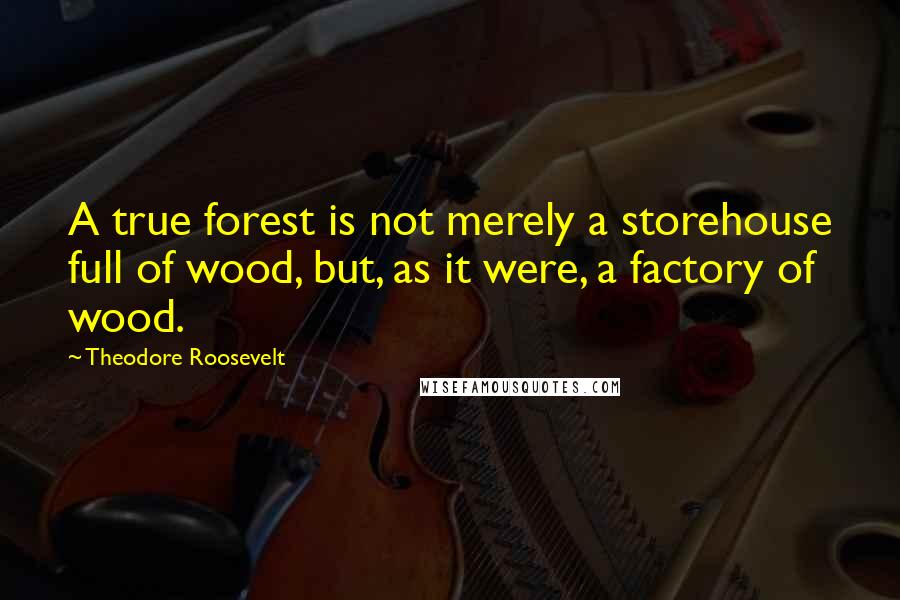 Theodore Roosevelt Quotes: A true forest is not merely a storehouse full of wood, but, as it were, a factory of wood.