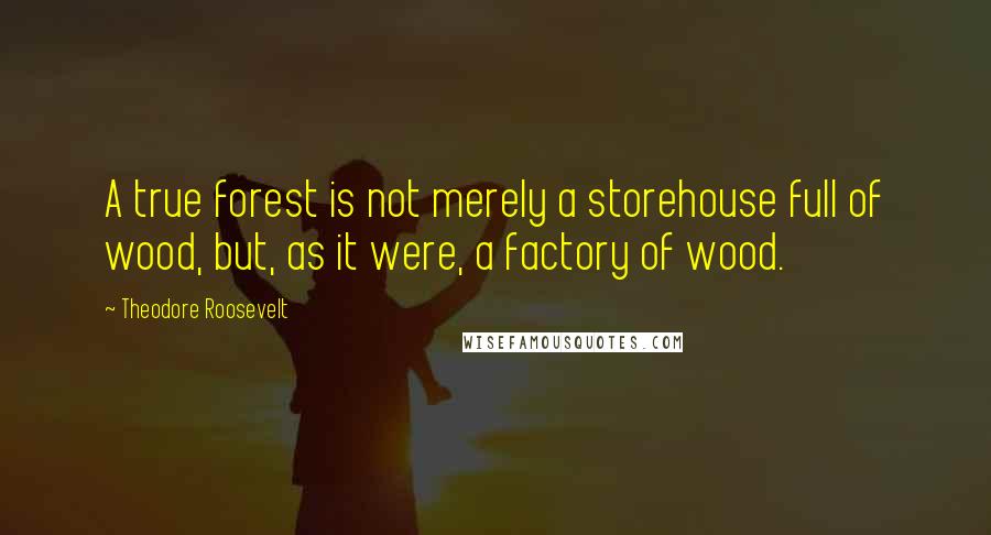 Theodore Roosevelt Quotes: A true forest is not merely a storehouse full of wood, but, as it were, a factory of wood.