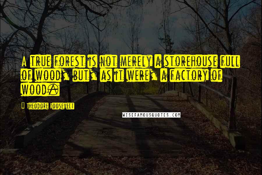 Theodore Roosevelt Quotes: A true forest is not merely a storehouse full of wood, but, as it were, a factory of wood.