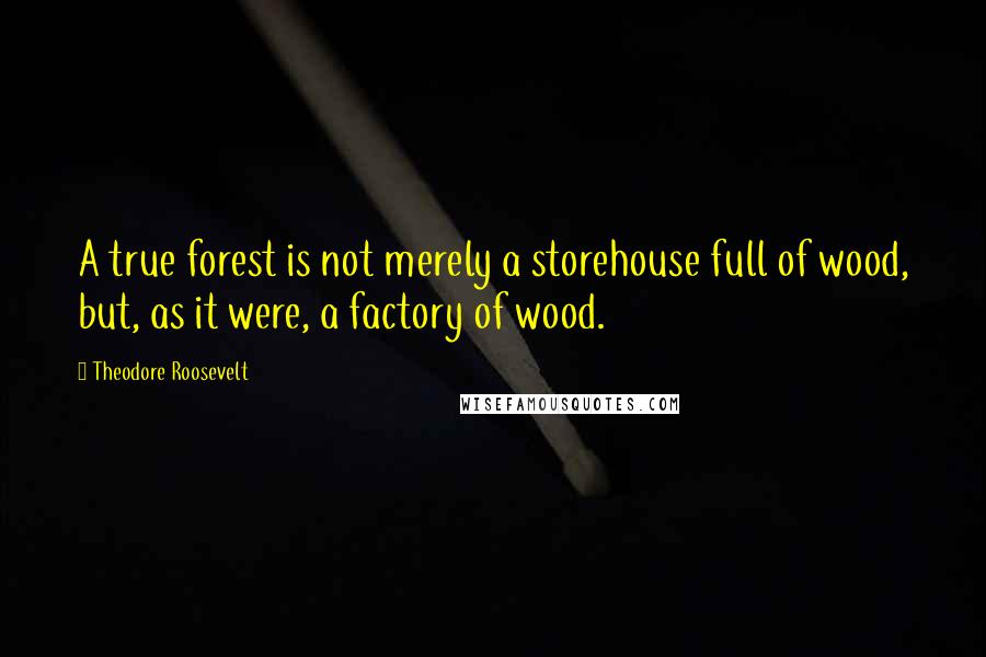 Theodore Roosevelt Quotes: A true forest is not merely a storehouse full of wood, but, as it were, a factory of wood.