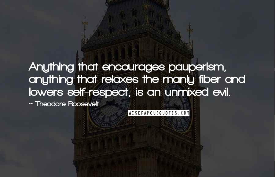 Theodore Roosevelt Quotes: Anything that encourages pauperism, anything that relaxes the manly fiber and lowers self-respect, is an unmixed evil.