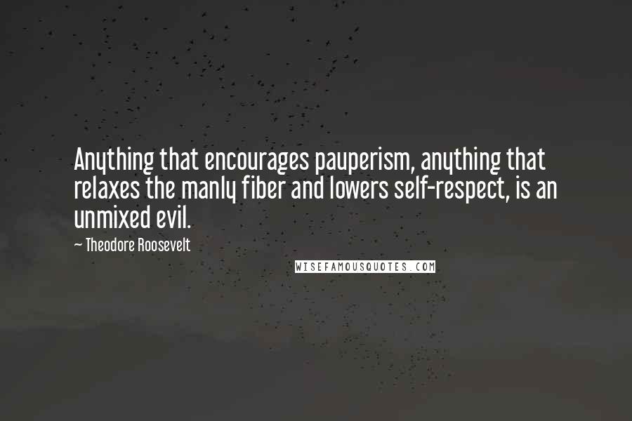 Theodore Roosevelt Quotes: Anything that encourages pauperism, anything that relaxes the manly fiber and lowers self-respect, is an unmixed evil.