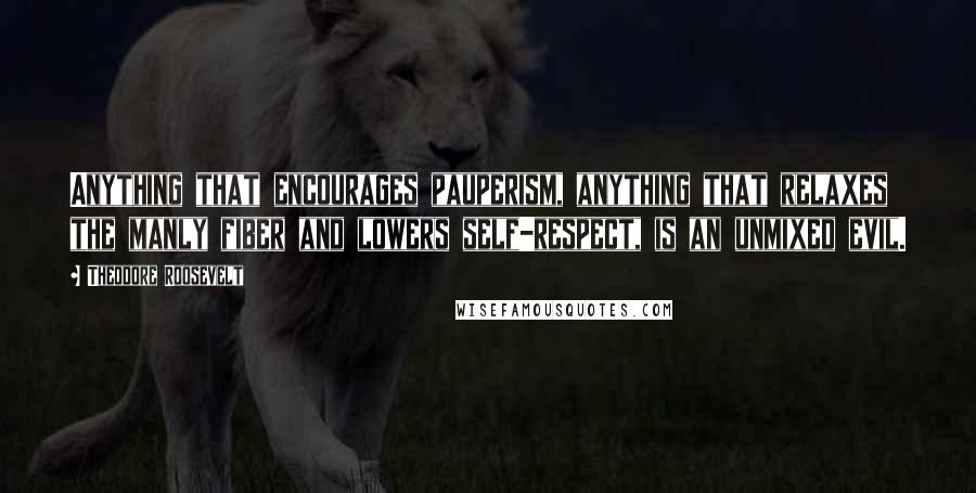 Theodore Roosevelt Quotes: Anything that encourages pauperism, anything that relaxes the manly fiber and lowers self-respect, is an unmixed evil.