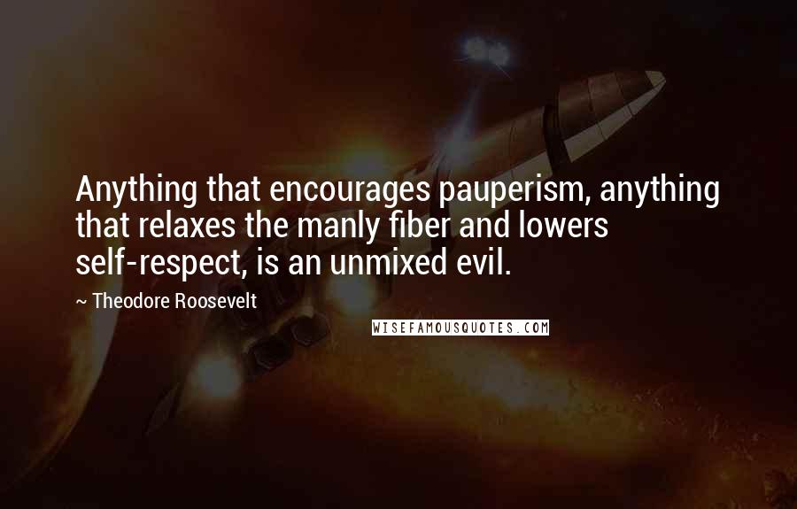 Theodore Roosevelt Quotes: Anything that encourages pauperism, anything that relaxes the manly fiber and lowers self-respect, is an unmixed evil.