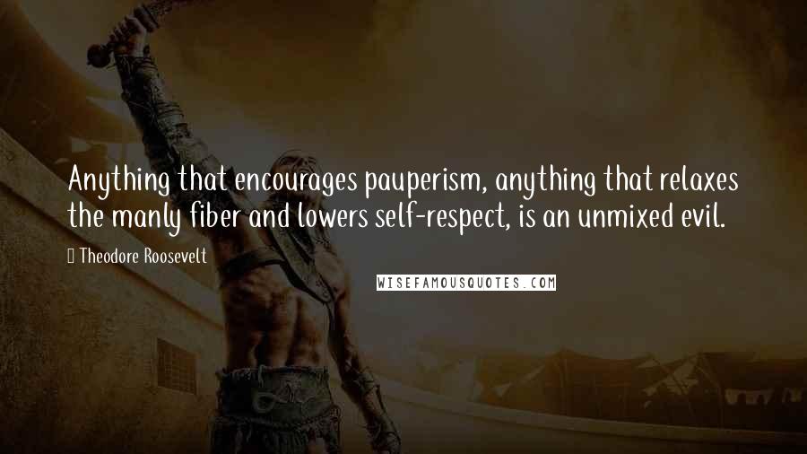 Theodore Roosevelt Quotes: Anything that encourages pauperism, anything that relaxes the manly fiber and lowers self-respect, is an unmixed evil.
