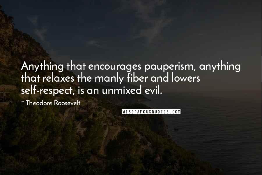 Theodore Roosevelt Quotes: Anything that encourages pauperism, anything that relaxes the manly fiber and lowers self-respect, is an unmixed evil.