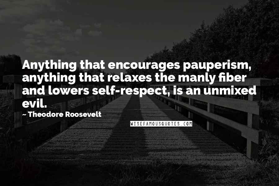 Theodore Roosevelt Quotes: Anything that encourages pauperism, anything that relaxes the manly fiber and lowers self-respect, is an unmixed evil.