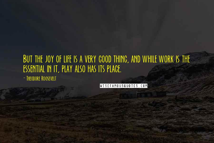 Theodore Roosevelt Quotes: But the joy of life is a very good thing, and while work is the essential in it, play also has its place.