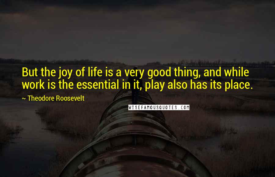 Theodore Roosevelt Quotes: But the joy of life is a very good thing, and while work is the essential in it, play also has its place.