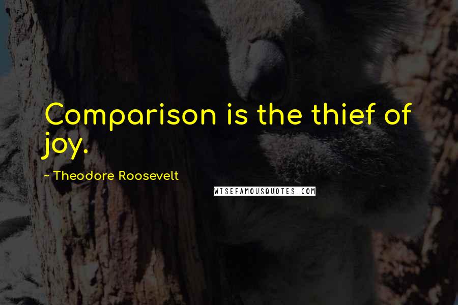 Theodore Roosevelt Quotes: Comparison is the thief of joy.