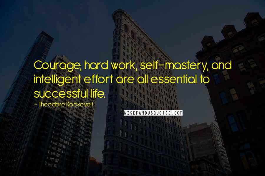 Theodore Roosevelt Quotes: Courage, hard work, self-mastery, and intelligent effort are all essential to successful life.
