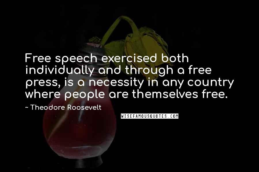 Theodore Roosevelt Quotes: Free speech exercised both individually and through a free press, is a necessity in any country where people are themselves free.