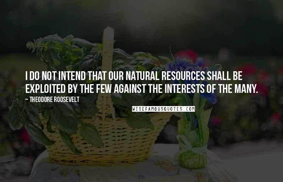 Theodore Roosevelt Quotes: I do not intend that our natural resources shall be exploited by the few against the interests of the many.