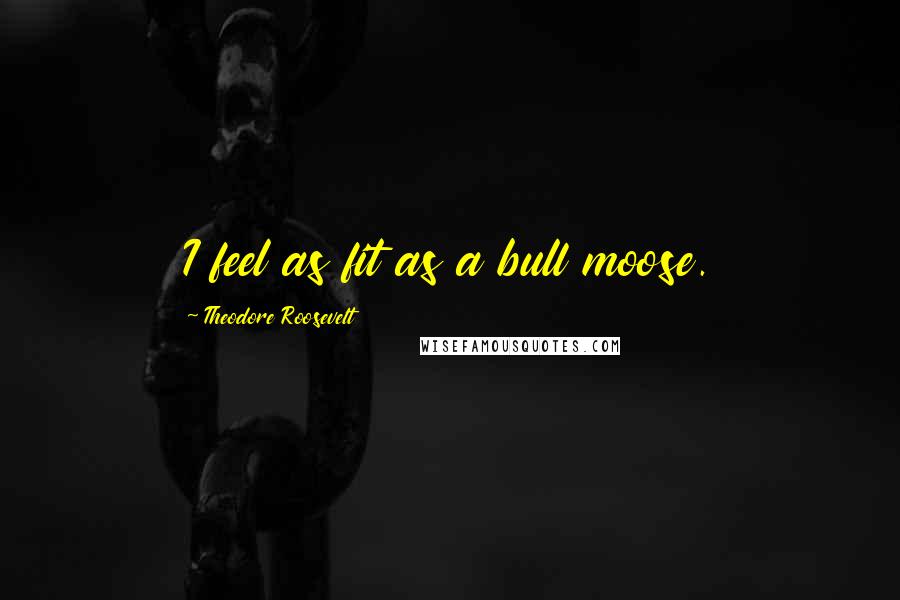 Theodore Roosevelt Quotes: I feel as fit as a bull moose.