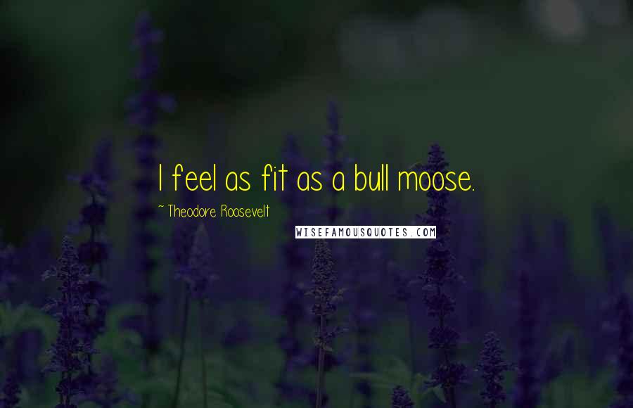 Theodore Roosevelt Quotes: I feel as fit as a bull moose.