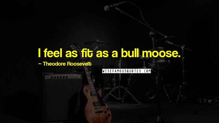 Theodore Roosevelt Quotes: I feel as fit as a bull moose.