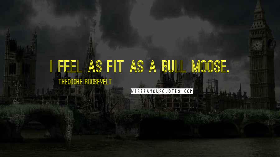 Theodore Roosevelt Quotes: I feel as fit as a bull moose.