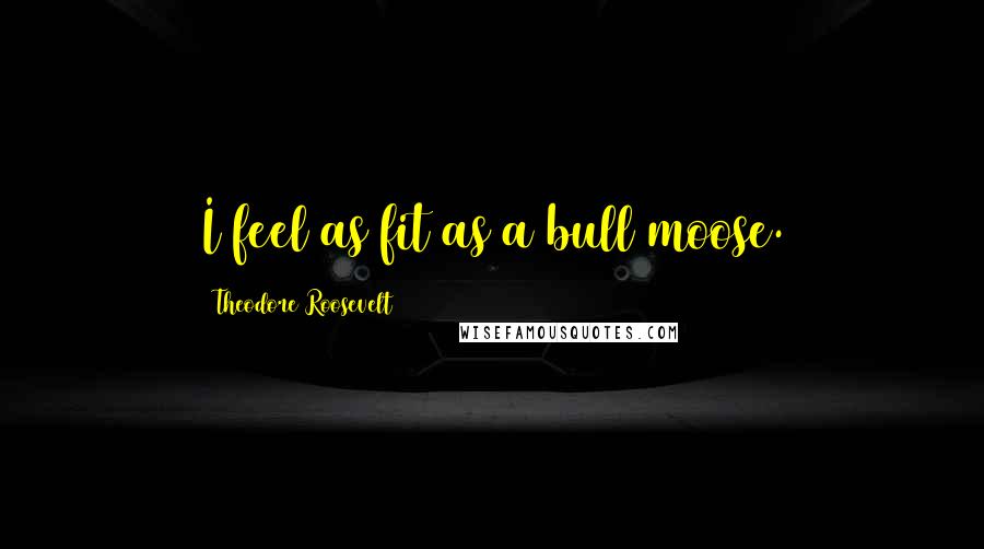 Theodore Roosevelt Quotes: I feel as fit as a bull moose.