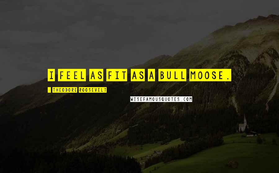 Theodore Roosevelt Quotes: I feel as fit as a bull moose.