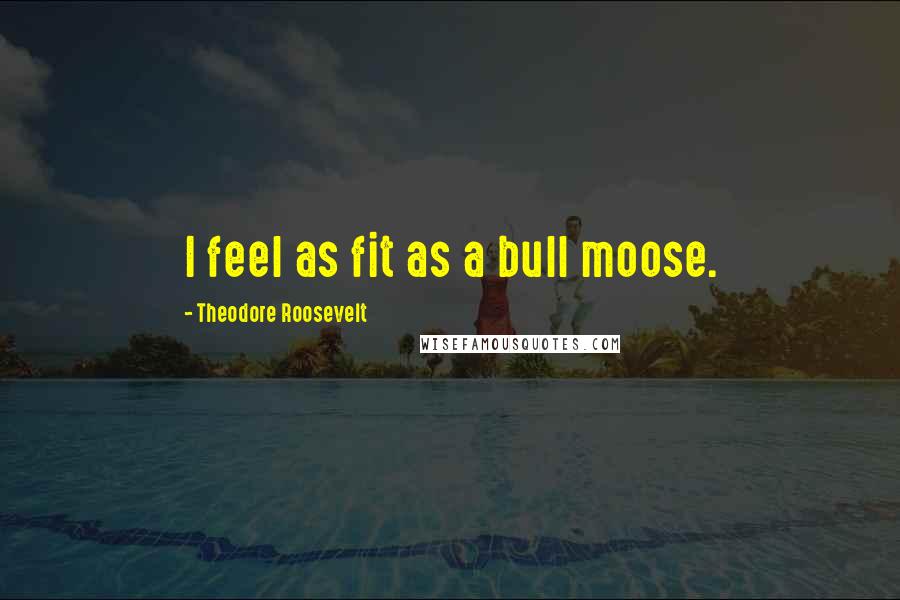 Theodore Roosevelt Quotes: I feel as fit as a bull moose.