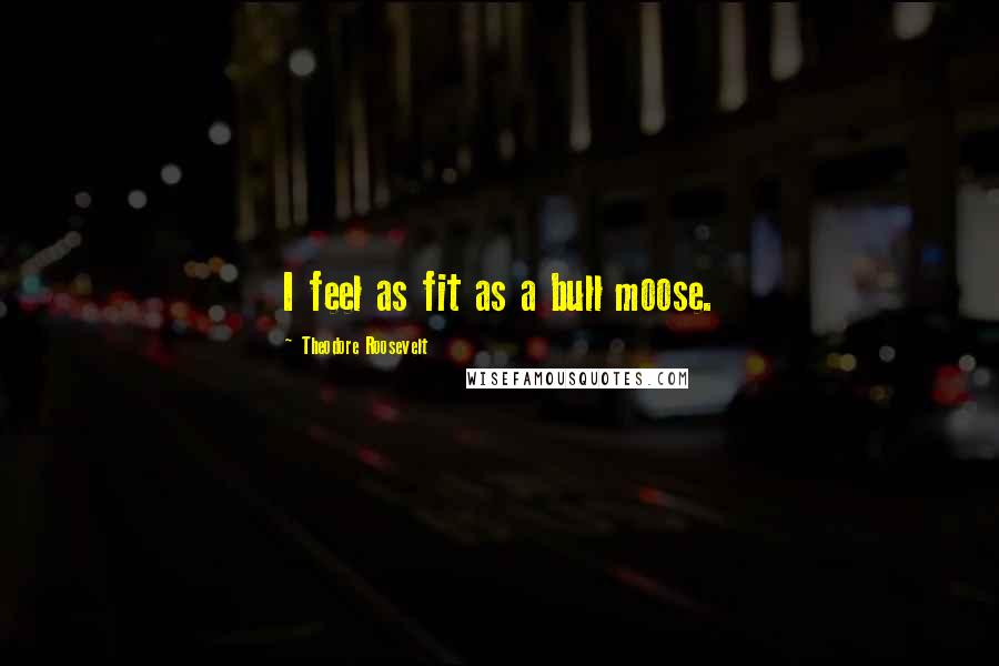 Theodore Roosevelt Quotes: I feel as fit as a bull moose.