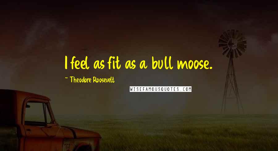 Theodore Roosevelt Quotes: I feel as fit as a bull moose.