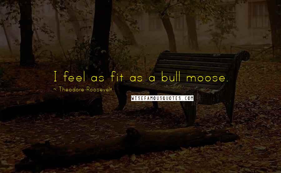 Theodore Roosevelt Quotes: I feel as fit as a bull moose.