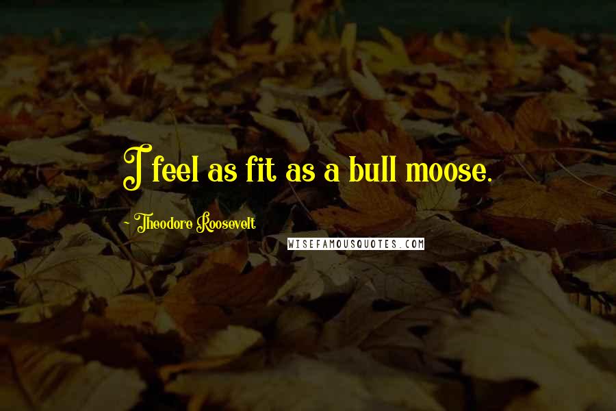 Theodore Roosevelt Quotes: I feel as fit as a bull moose.