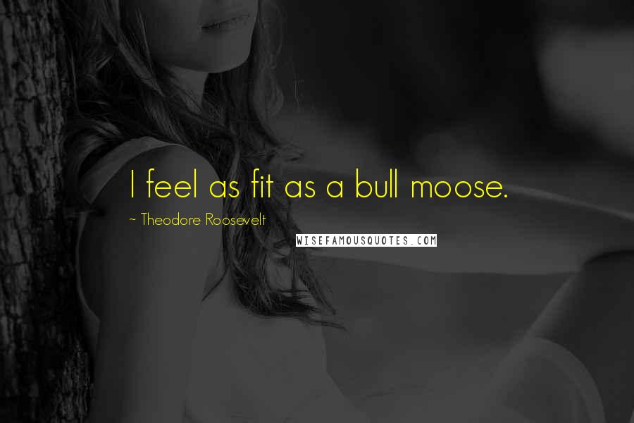 Theodore Roosevelt Quotes: I feel as fit as a bull moose.