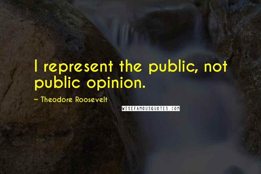 Theodore Roosevelt Quotes: I represent the public, not public opinion.