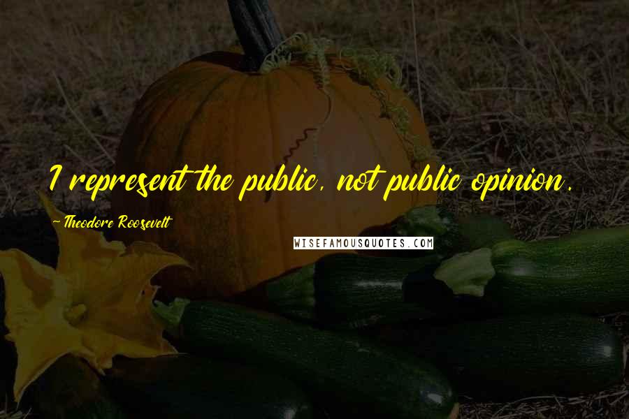 Theodore Roosevelt Quotes: I represent the public, not public opinion.