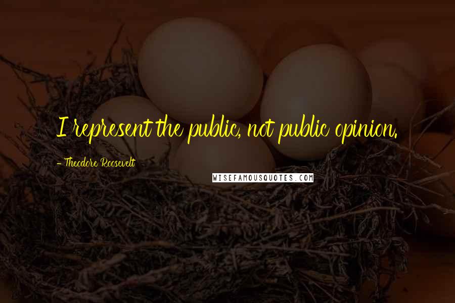 Theodore Roosevelt Quotes: I represent the public, not public opinion.