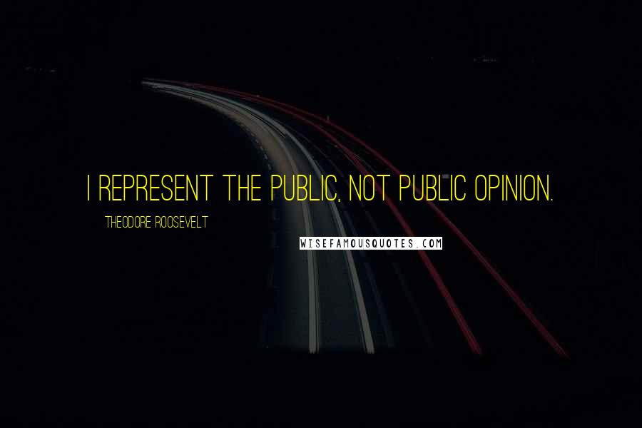 Theodore Roosevelt Quotes: I represent the public, not public opinion.
