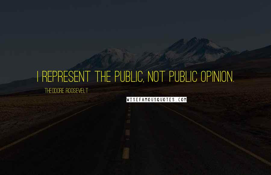 Theodore Roosevelt Quotes: I represent the public, not public opinion.