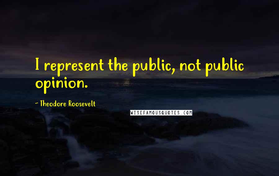 Theodore Roosevelt Quotes: I represent the public, not public opinion.